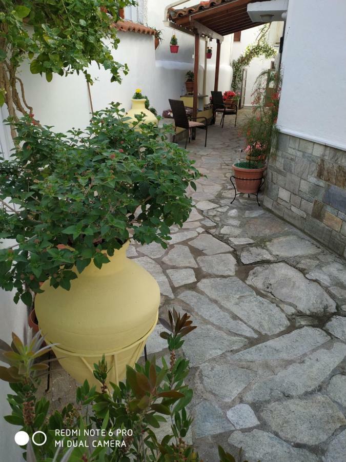 Pension Nikolas Skiathos Exterior foto